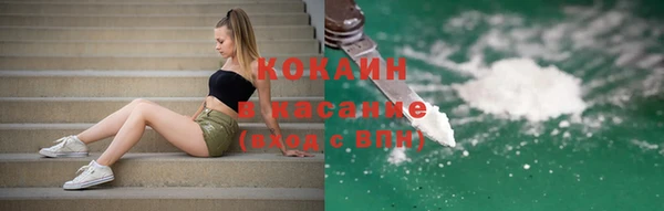 тгк Михайлов
