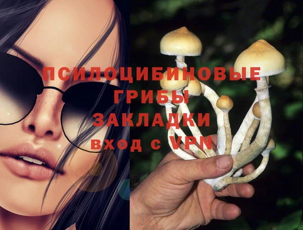 тгк Михайлов