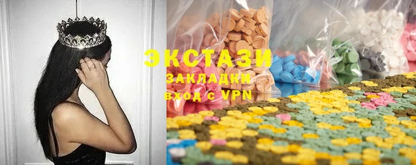 ECSTASY Богородицк