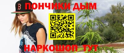 индика Гатчина