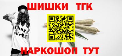 индика Гатчина