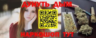 индика Гатчина