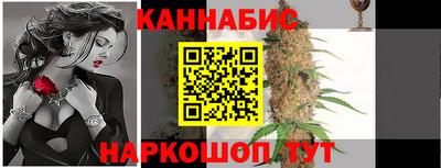 индика Гатчина