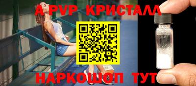 индика Гатчина