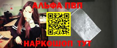 индика Гатчина