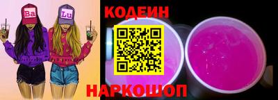 индика Гатчина