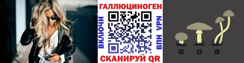 Псилоцибиновые грибы MAGIC MUSHROOMS  дарк нет официальный сайт  Кызыл  купить  