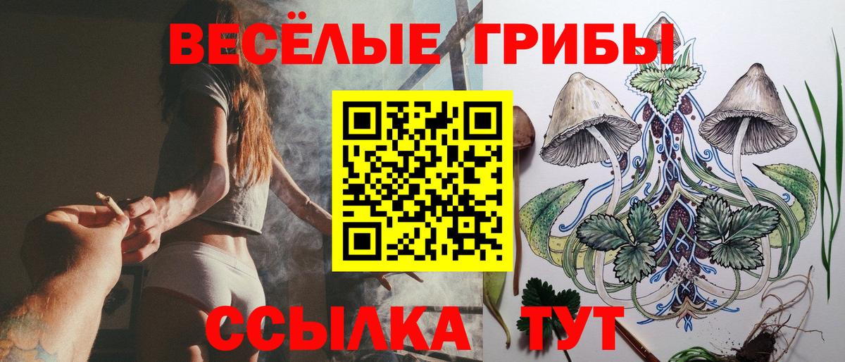 Галлюциногенные грибы мицелий Кызыл